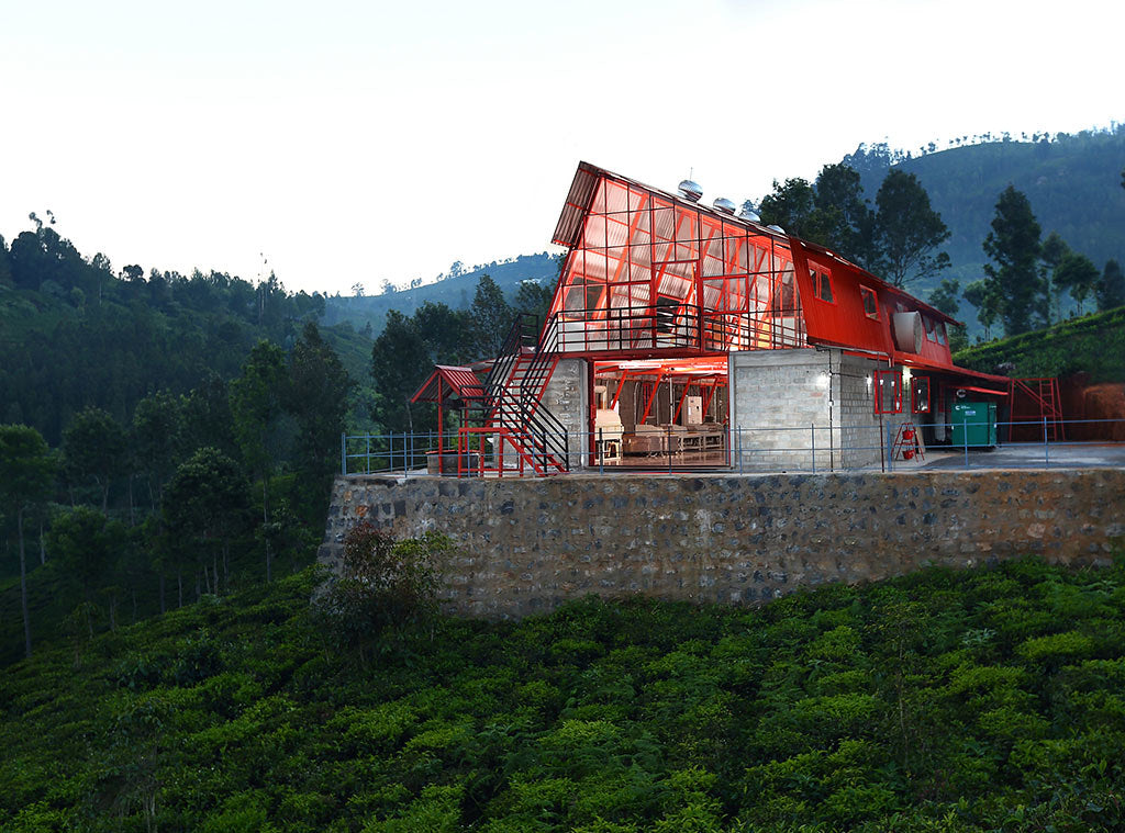 TEA STUDIO | NILGIRI BAI MU DAN 