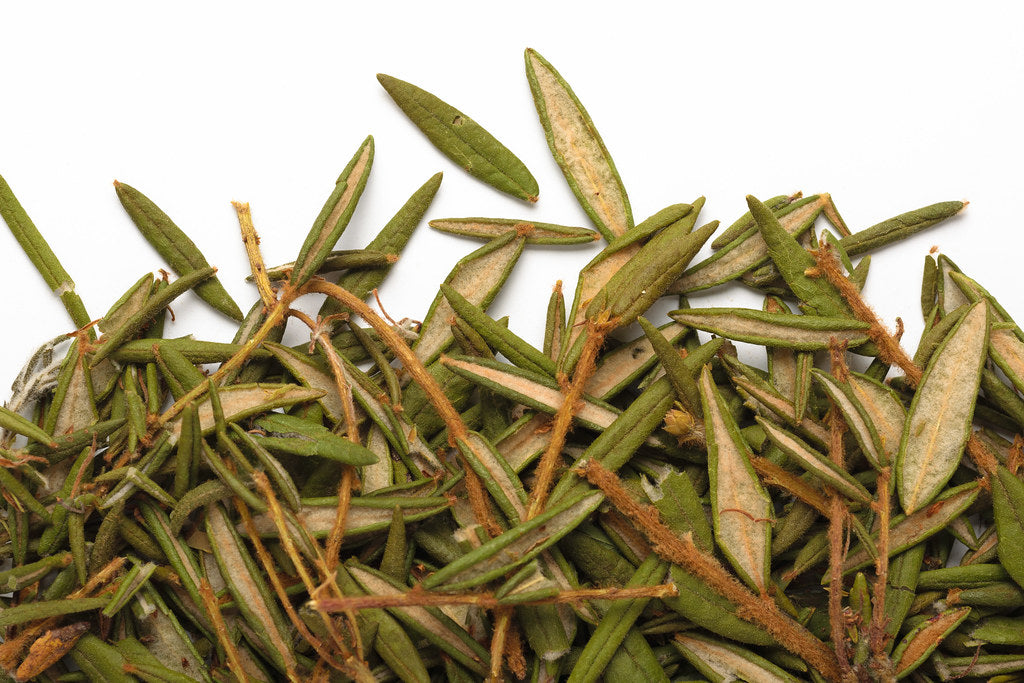 LABRADOR TEA 