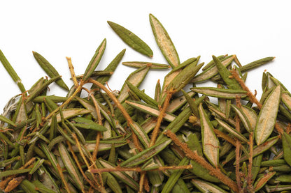 LABRADOR TEA 