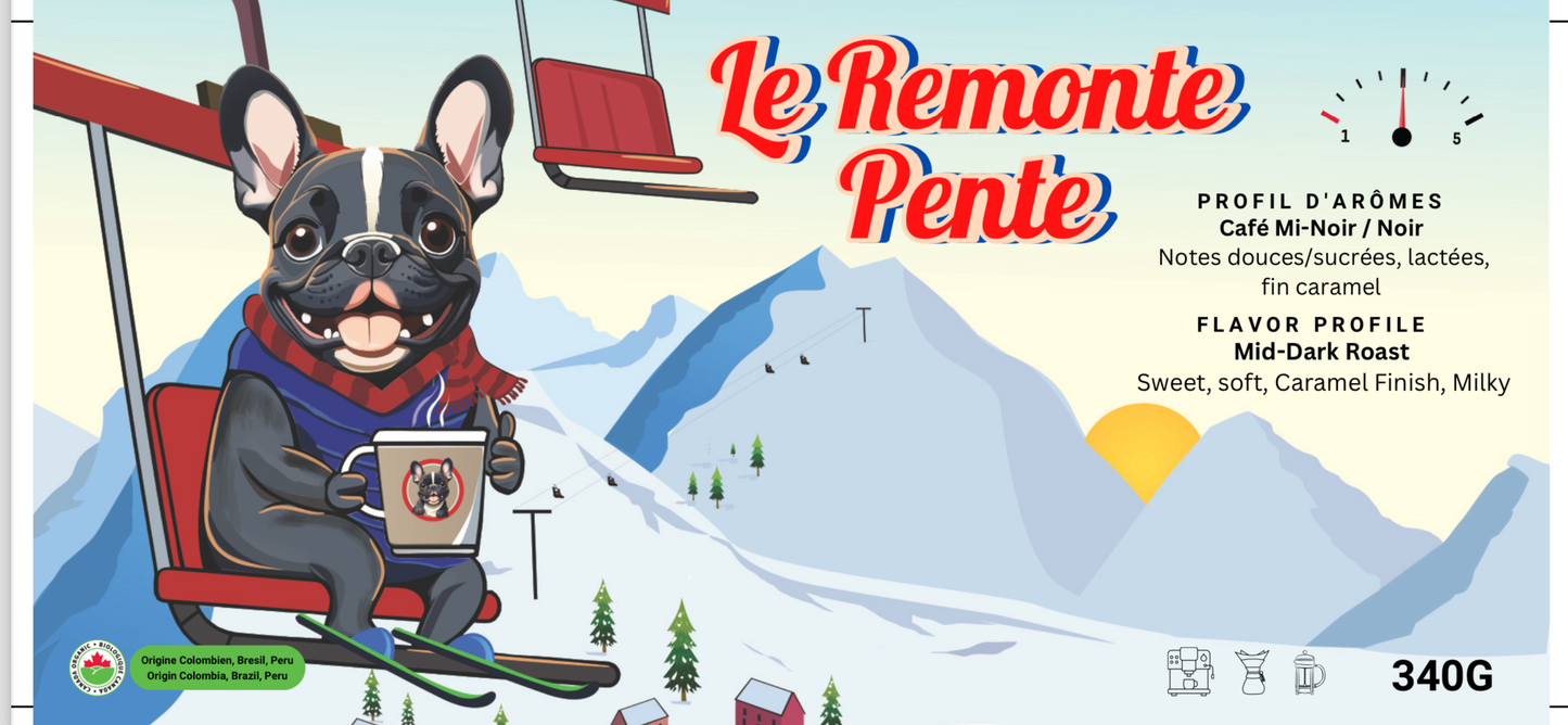 Remonte-Pente (Ski-lift)