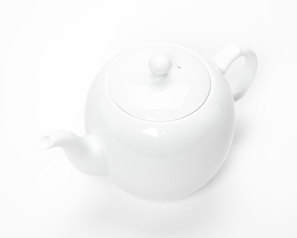 CAMELLIA SINENSIS TEAPOT | PERFECTION - Three Colors 