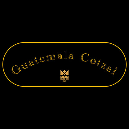 Guatemala Cotzal Organic 