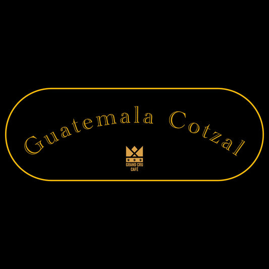 Guatemala Cotzal Organic 